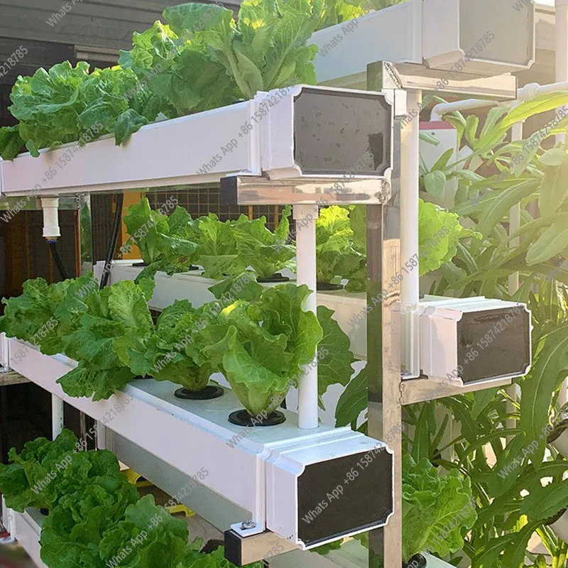 Smart Garden Vertical Planter - Système de culture hydroponique, plantation de