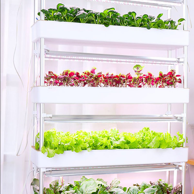 Tour de culture hydroponique v - Smart Garden Vertical Planter avis et prix