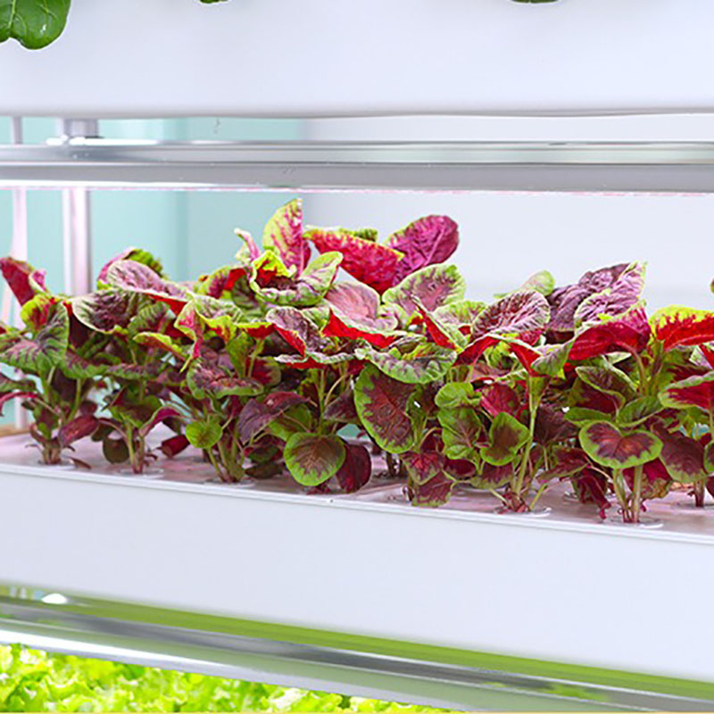 Tour de culture hydroponique v - Smart Garden Vertical Planter avis et prix