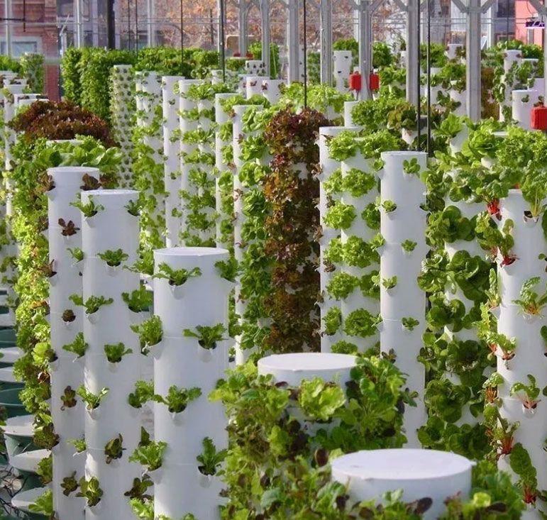 Kit de jardinage intelligent d - Smart Garden Vertical Planter avis et prix