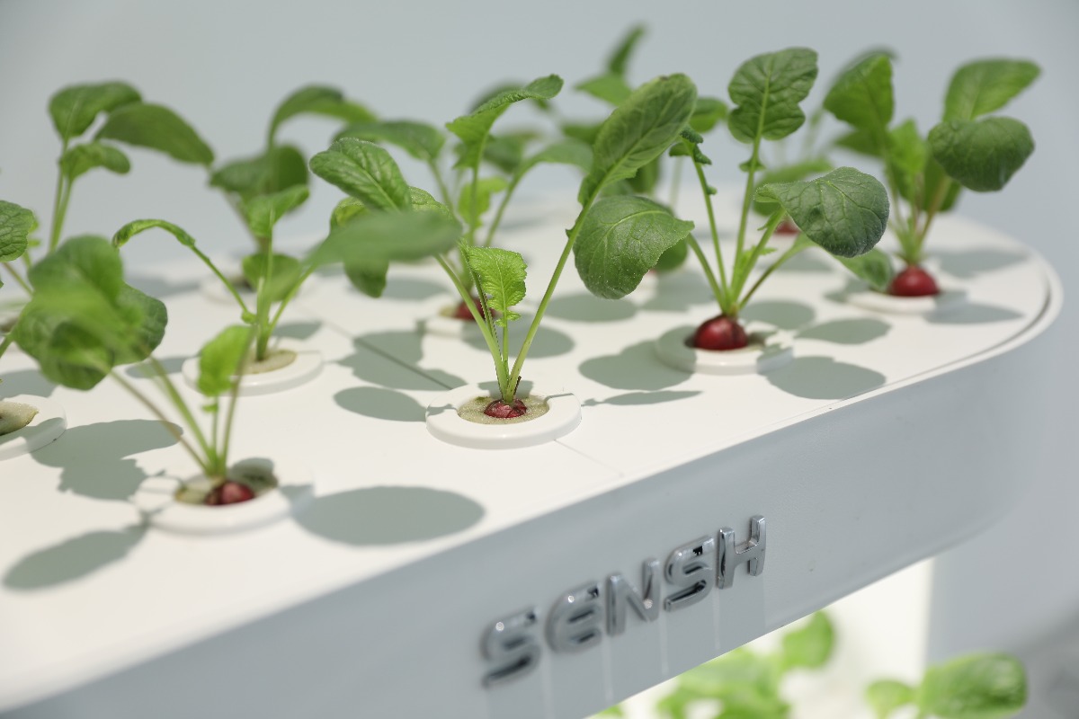 Kit de jardin hydroponique int - Smart Garden Vertical Planter avis et prix