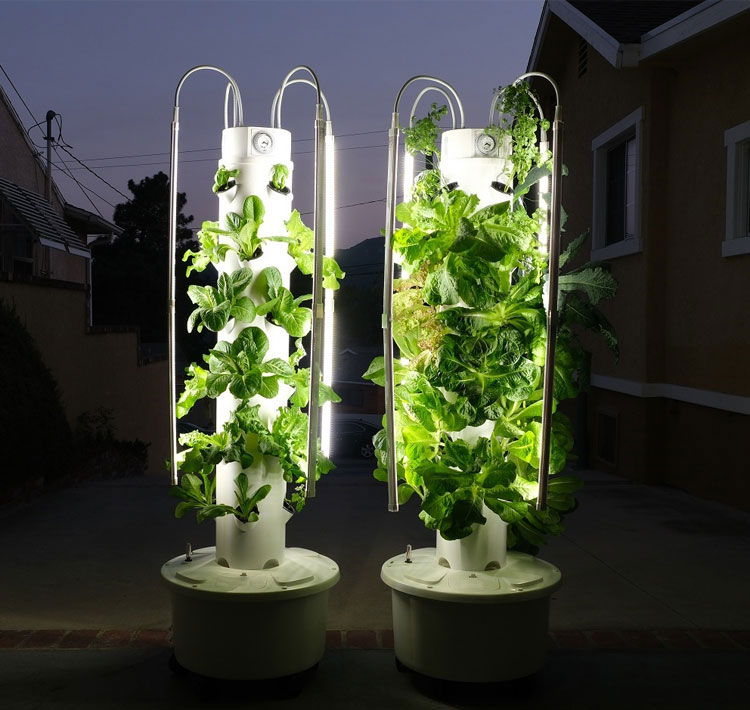 Tour hydroponique, système de  - Smart Garden Vertical Planter avis et prix
