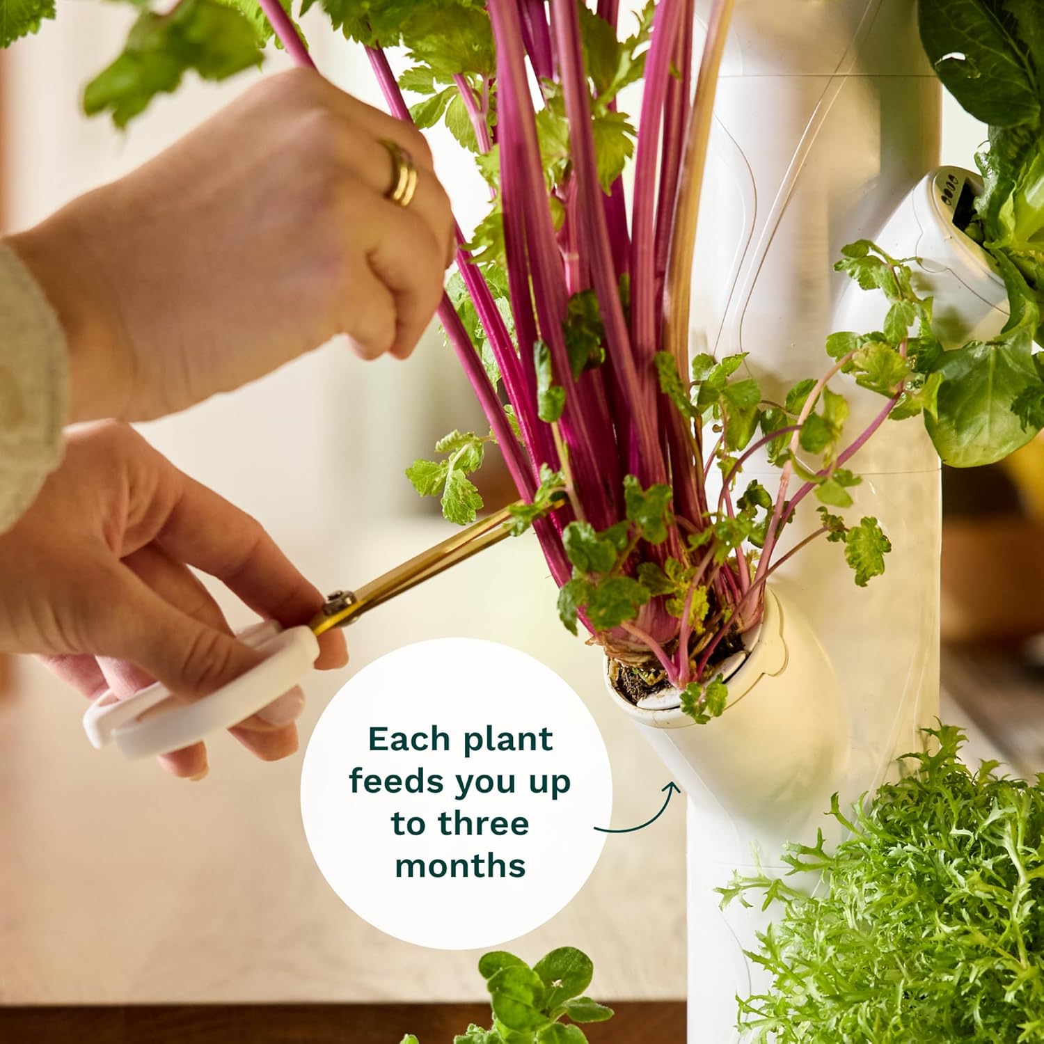 Système de jardinage intellige - Smart Garden Vertical Planter avis et prix