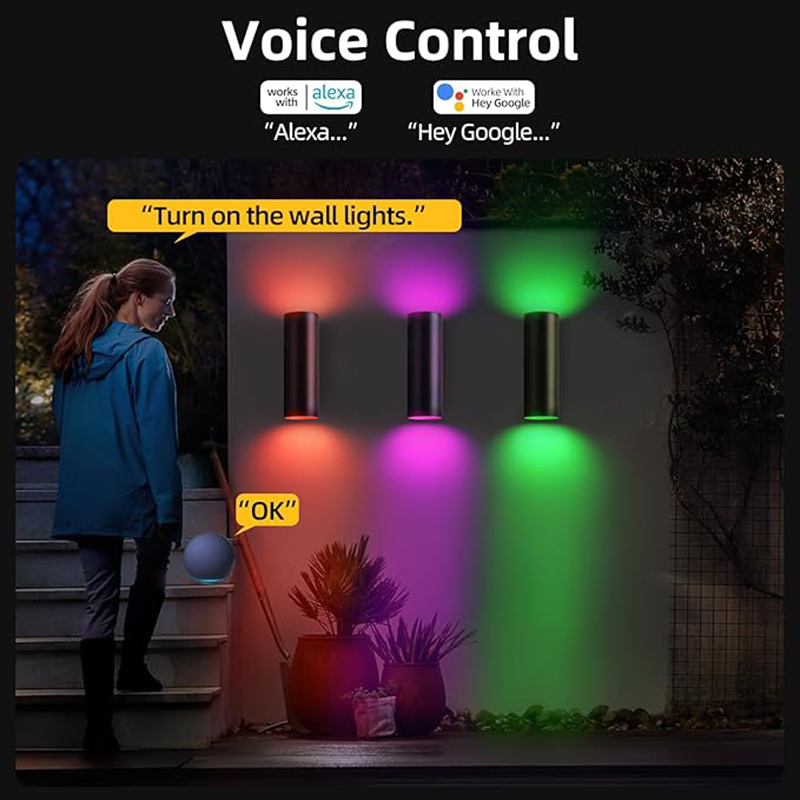 Lampe murale extérieure intell - Smart Zigbee Garden Light avis et prix