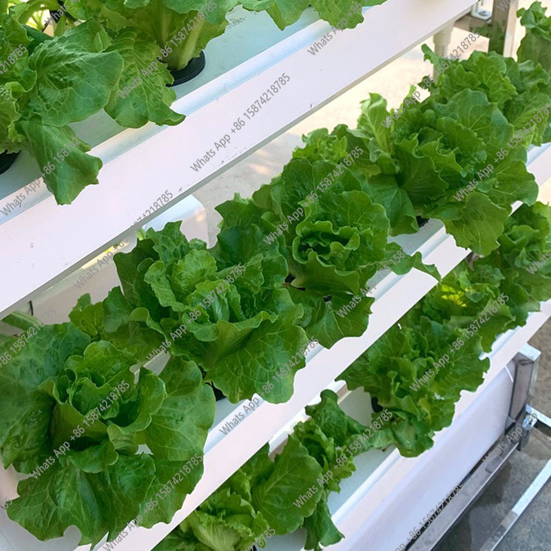 Système de culture hydroponiqu - Smart Garden Vertical Planter avis et prix